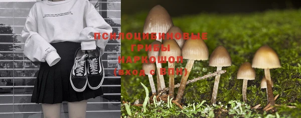jwh Верхний Тагил